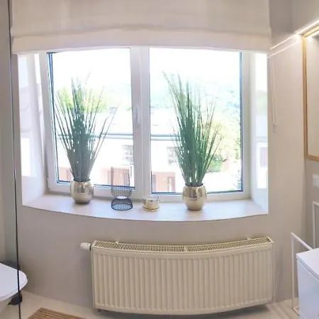 Olchowa Prestige 3 * Ustroń